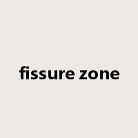 fissure zone是什么意思