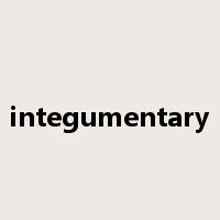 integumentary是什么意思