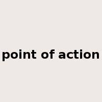 point of action是什么意思