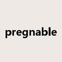 pregnable是什么意思