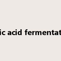 citric acid fermentation是什么意思