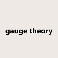 gauge theory是什么意思
