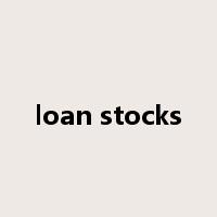 loan stocks是什么意思