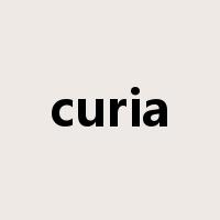curia是什么意思