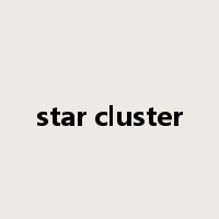 star cluster是什么意思