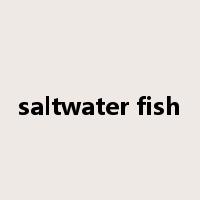 saltwater fish是什么意思