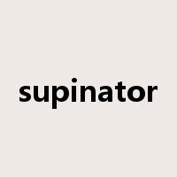 supinator是什么意思