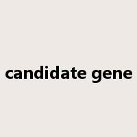 candidate gene是什么意思