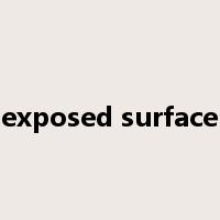 exposed surface是什么意思