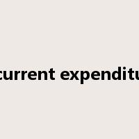 recurrent expenditure是什么意思