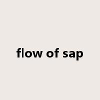 flow of sap是什么意思