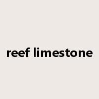 reef limestone是什么意思