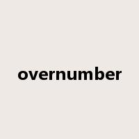 overnumber是什么意思