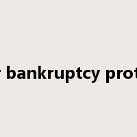file for bankruptcy protection是什么意思