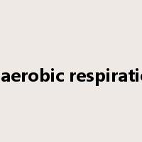 anaerobic respiration是什么意思