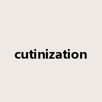 cutinization是什么意思