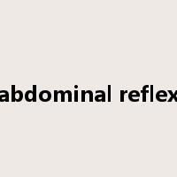 abdominal reflex是什么意思