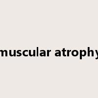 muscular atrophy是什么意思