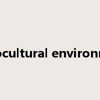 sociocultural environment是什么意思