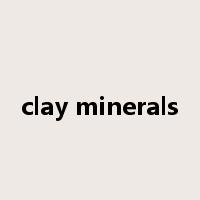 clay minerals是什么意思
