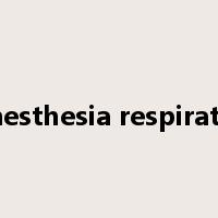 anesthesia respirator是什么意思
