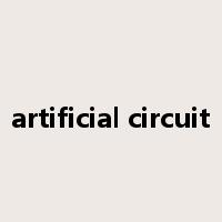 artificial circuit是什么意思
