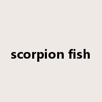 scorpion fish是什么意思