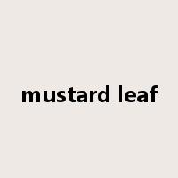 mustard leaf是什么意思