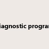 diagnostic program是什么意思