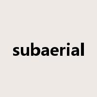 subaerial是什么意思