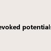 evoked potentials是什么意思