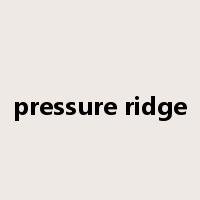 pressure ridge是什么意思