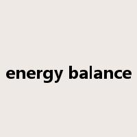 energy balance是什么意思