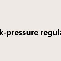 back-pressure regulator是什么意思
