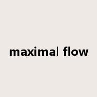 maximal flow是什么意思