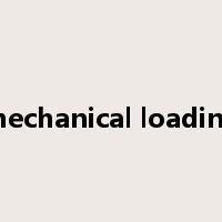 mechanical loading是什么意思