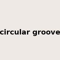 circular groove是什么意思