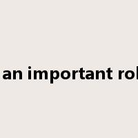 play an important role on是什么意思