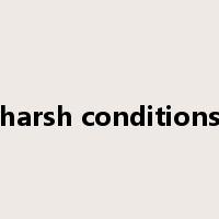 harsh conditions是什么意思
