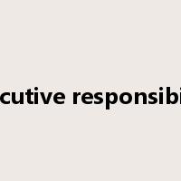 executive responsibility是什么意思