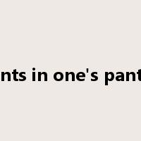 ants in one's pants是什么意思