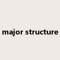 major structure是什么意思