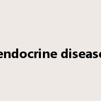 endocrine disease是什么意思