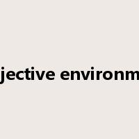 subjective environment是什么意思