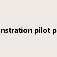 demonstration pilot project是什么意思