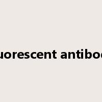 fluorescent antibody是什么意思