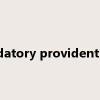mandatory provident fund是什么意思