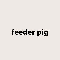 feeder pig是什么意思