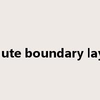 solute boundary layer是什么意思
