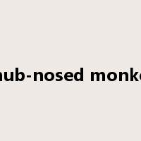 snub-nosed monkey是什么意思